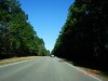 DSC05169.jpg