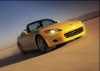 yellow02.jpg