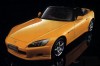 yellow03.jpg