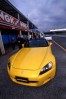 yellow04.jpg