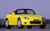 yellow06.jpg