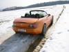 orange08.jpg