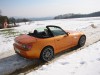 orange09.jpg