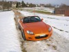 orange14.jpg