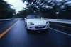 white05.jpg